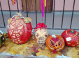 IMG_20161026_155437